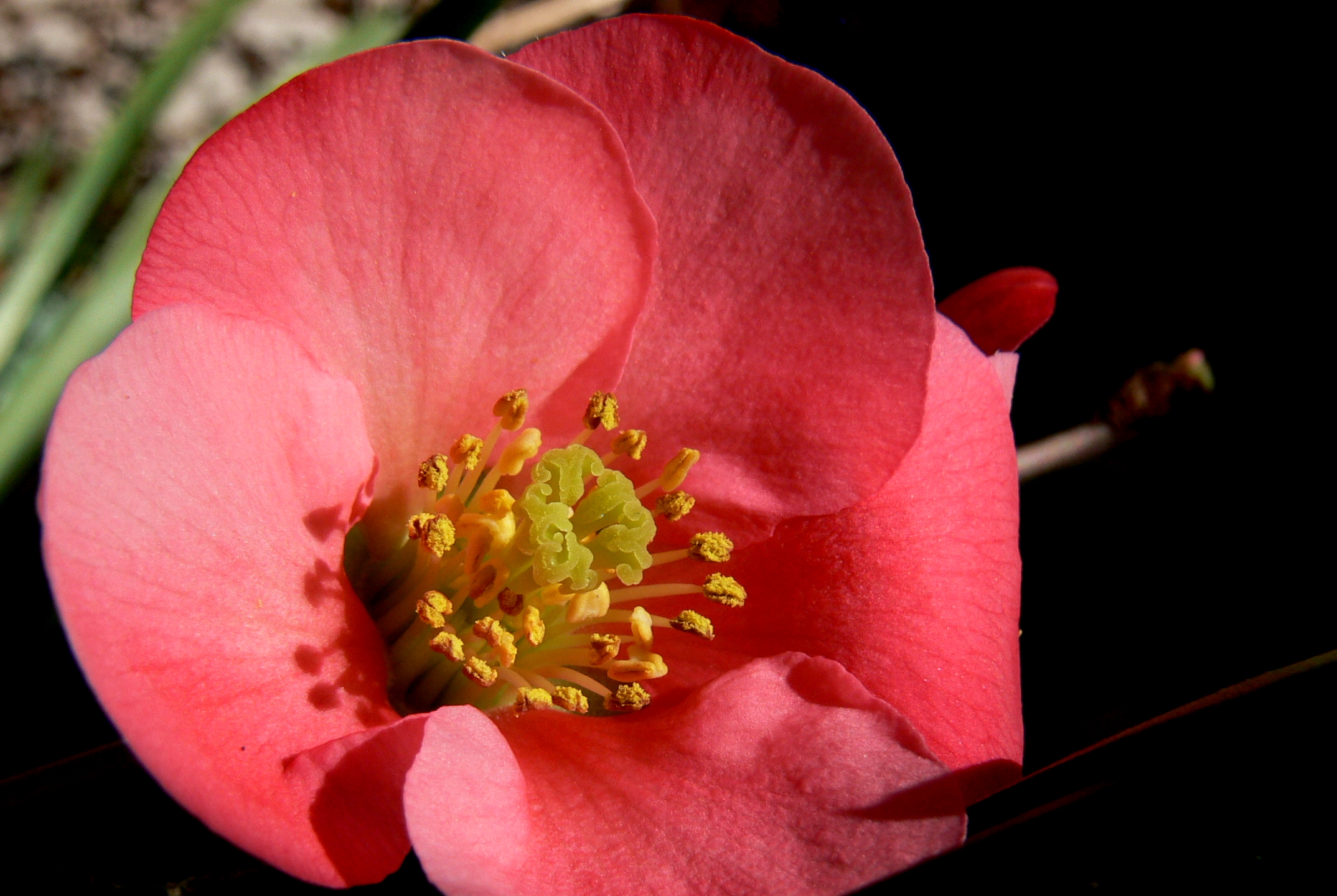 More signs of spring