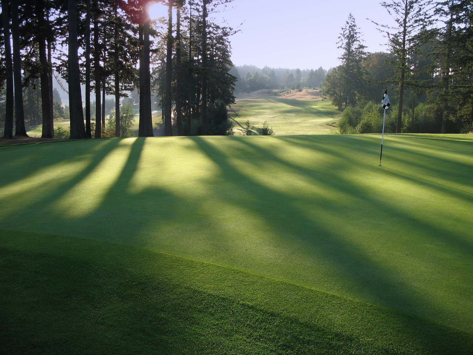 Morning Shadows