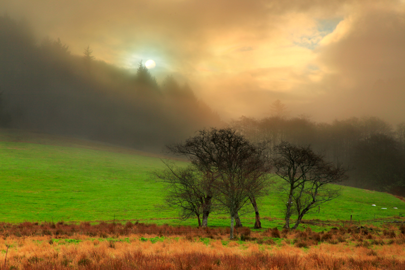 morning sun