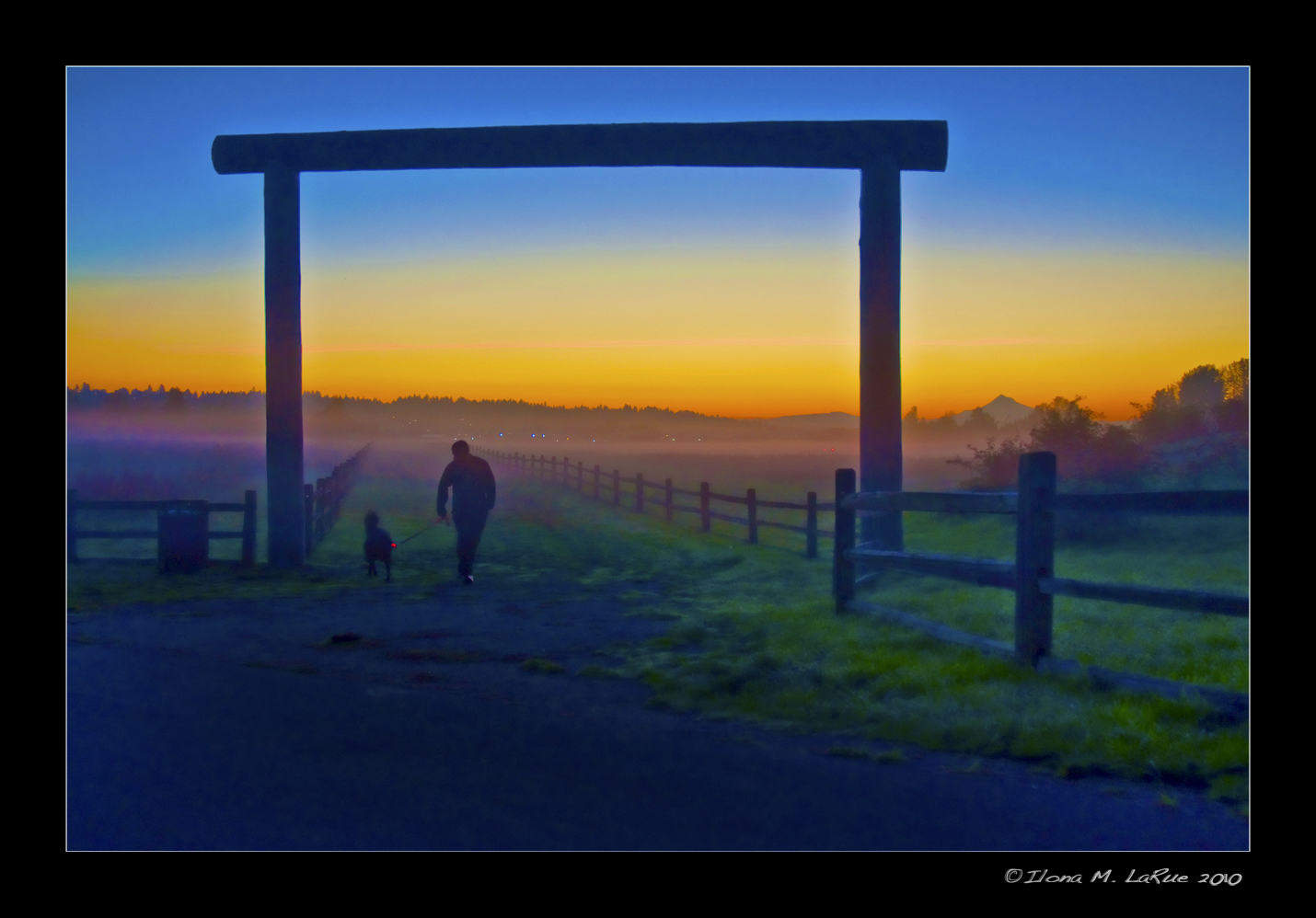 Morning Walk