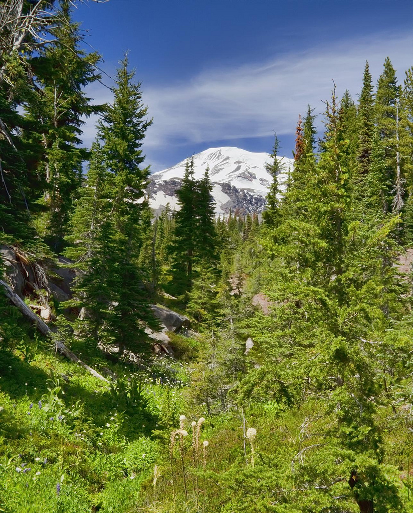 Mount Adams on land of the Yakama Nation