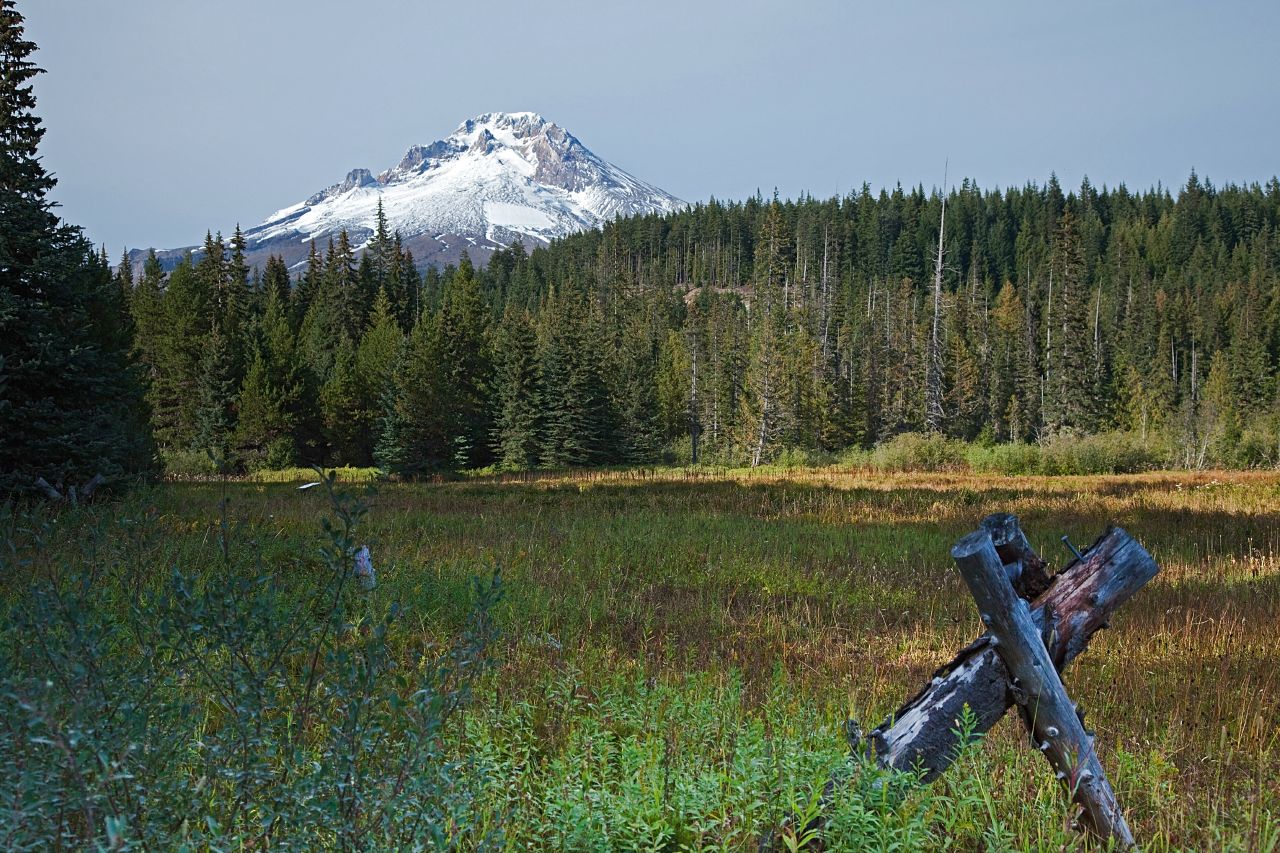 Mount Hood from Summit Meadows