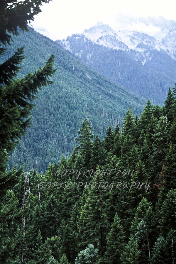 Mount Rainier National Park