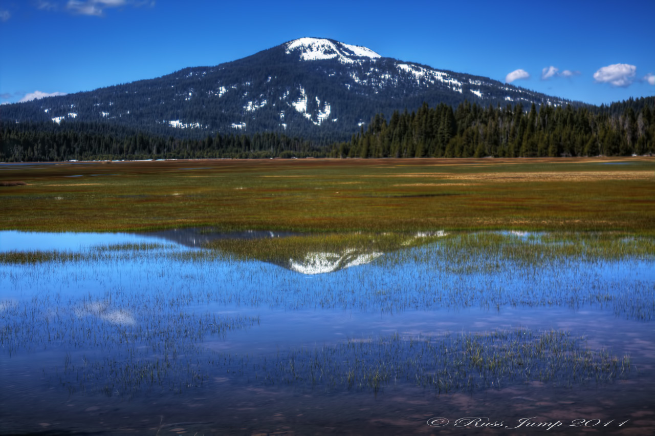 Mountain Meadow