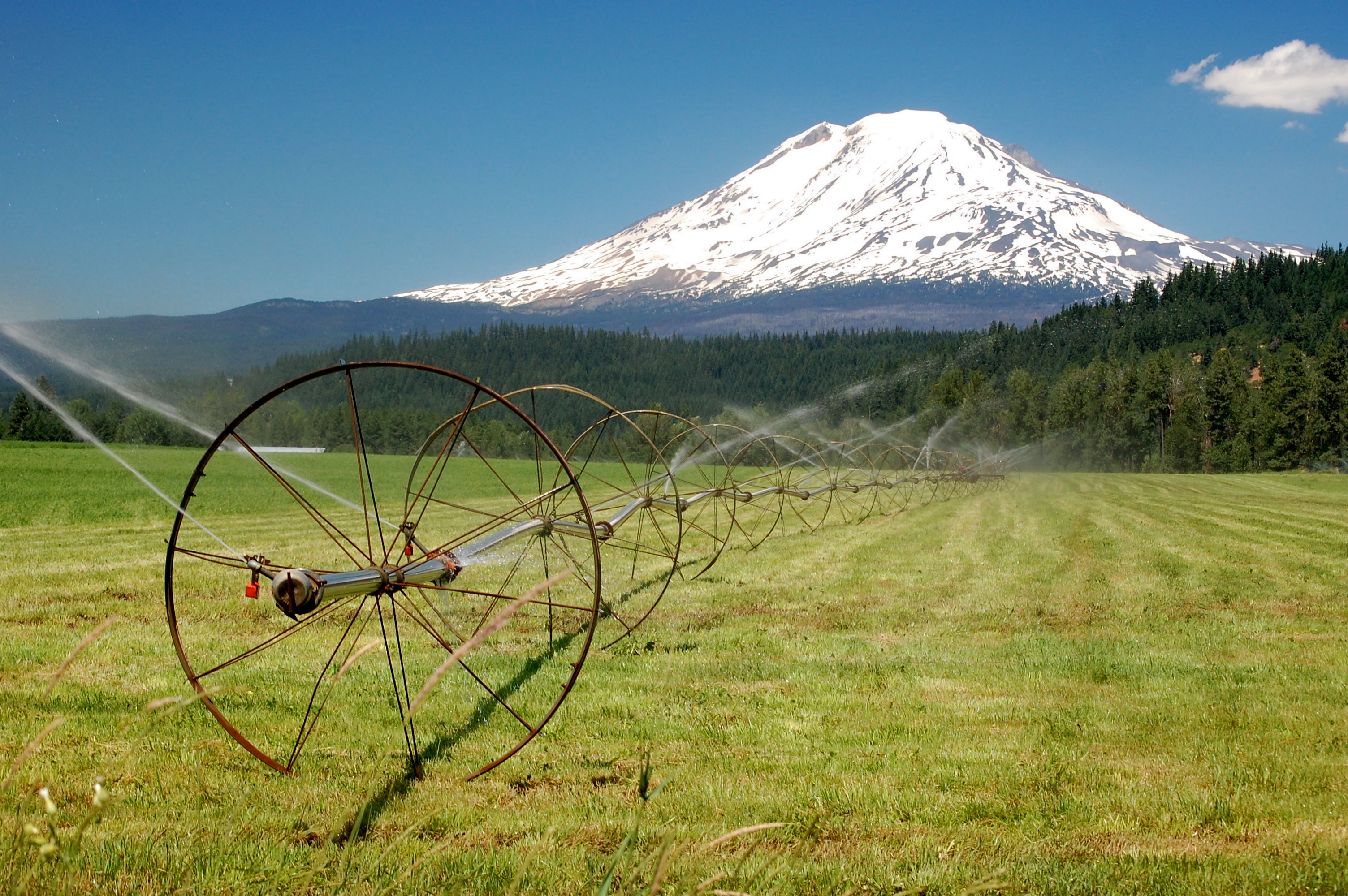 Mt Adams