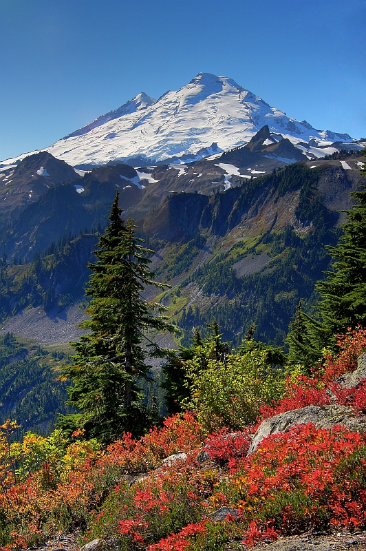 Mt. Baker Autumn