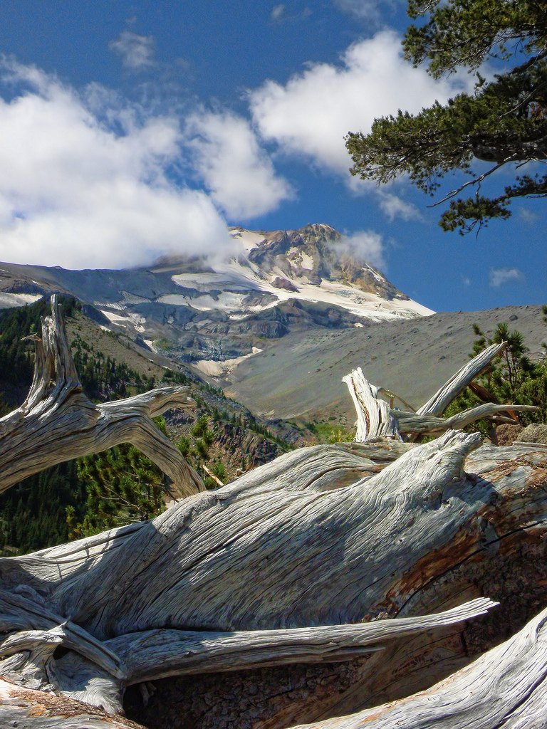 Mt. Hood