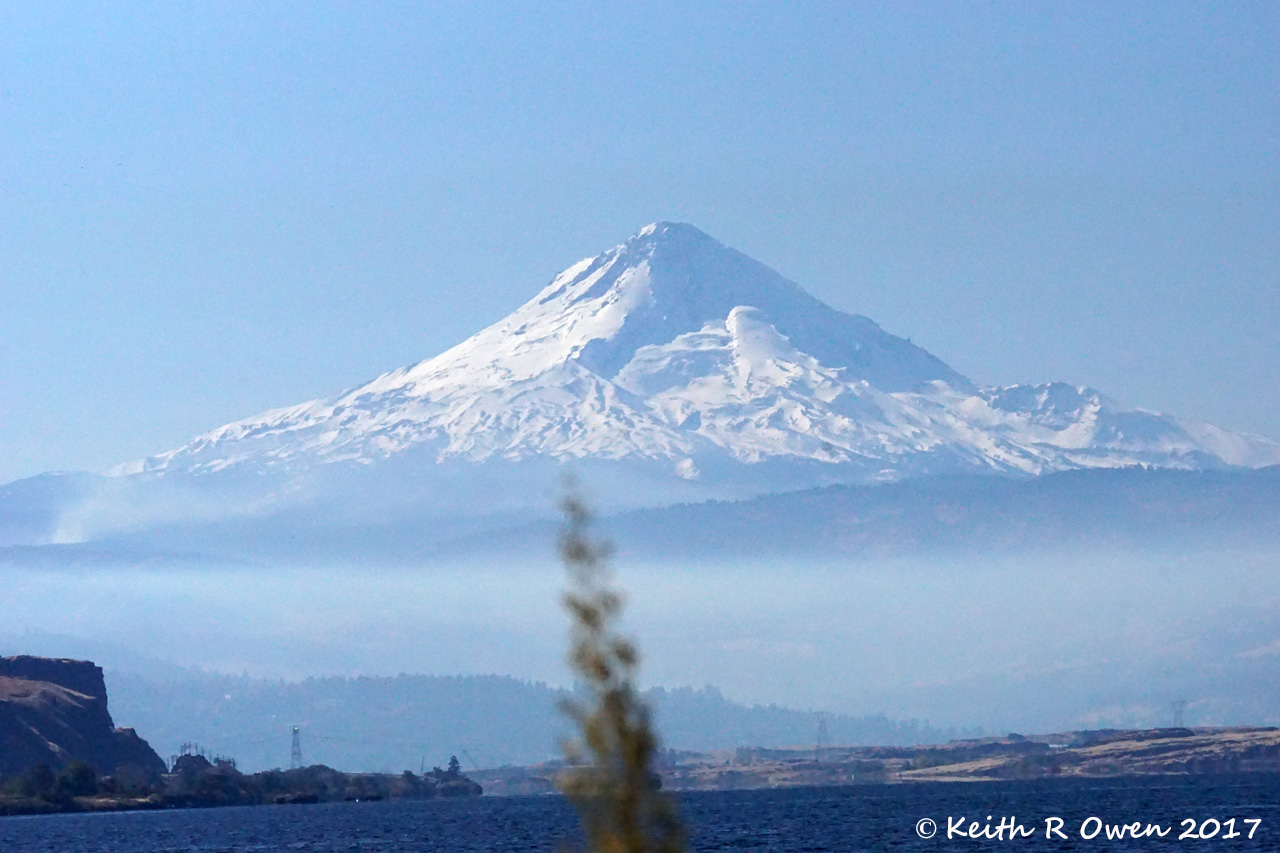 Mt Hood