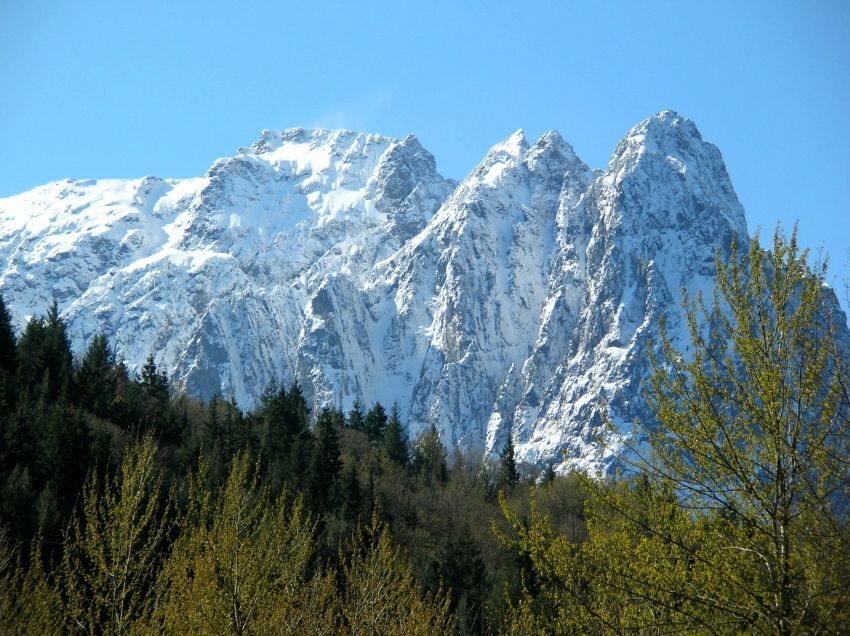 Mt.Index
