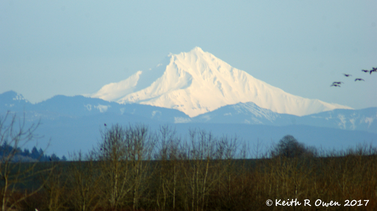 Mt Jefferson
