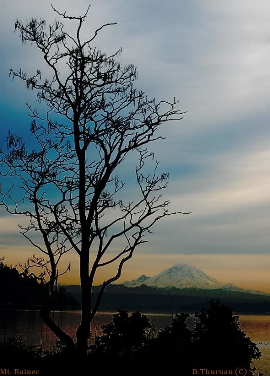 Mt. Rainer