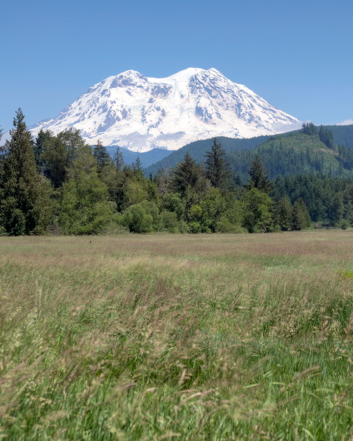 Mt Rainier from Mineral