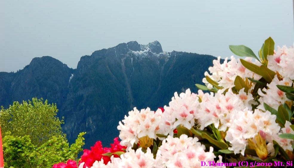 Mt. Si