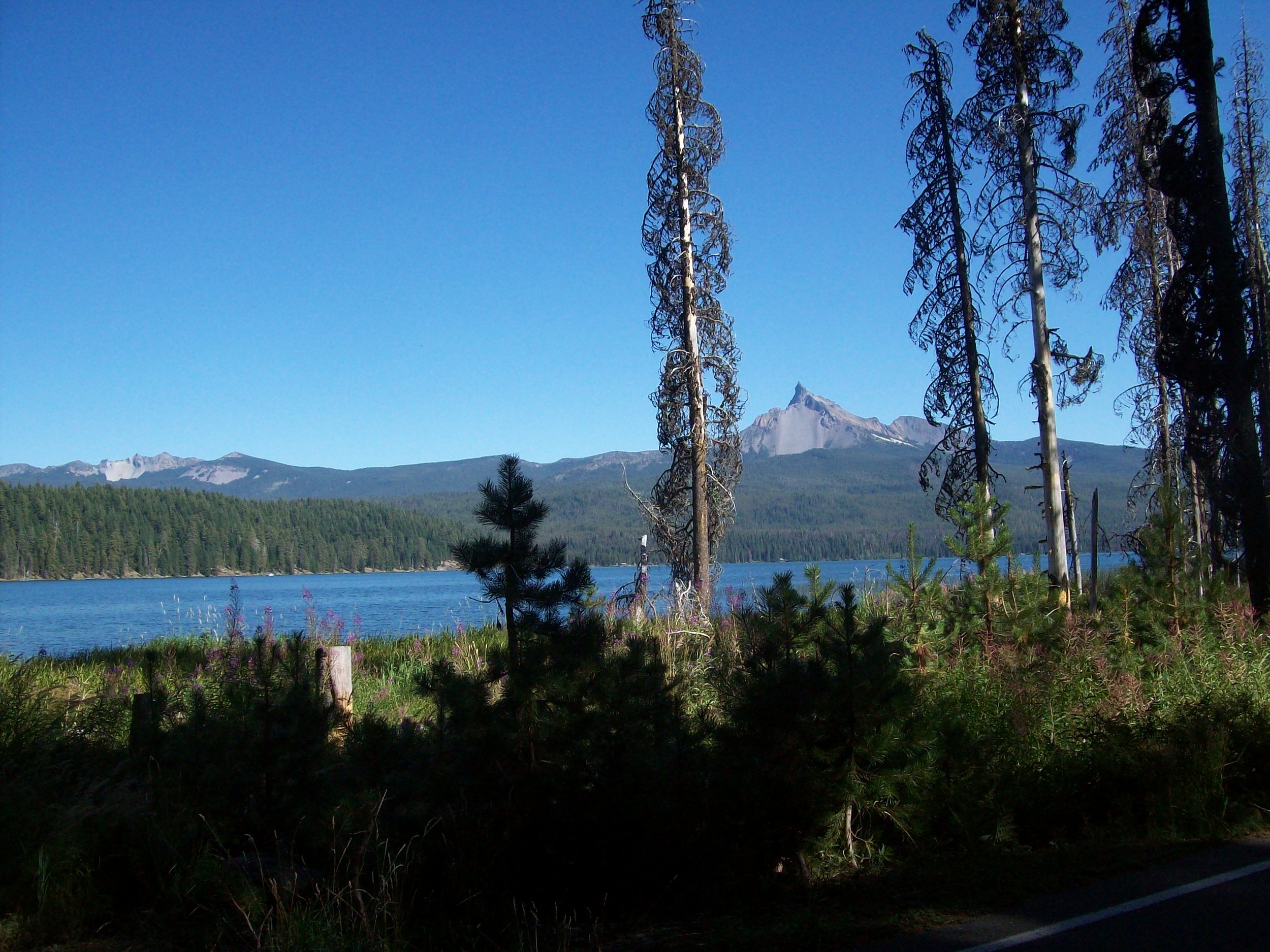 Mt. Theilson and A Touch of Diamond Lake