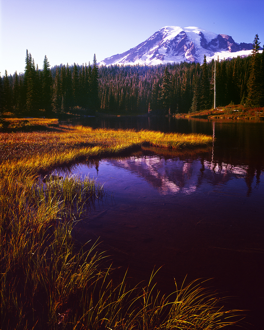 mtrainier