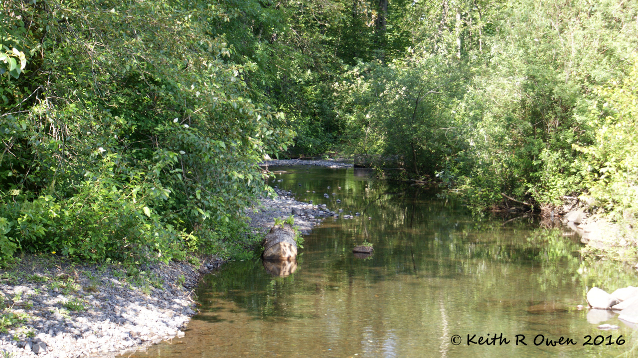 Multnomah Creek