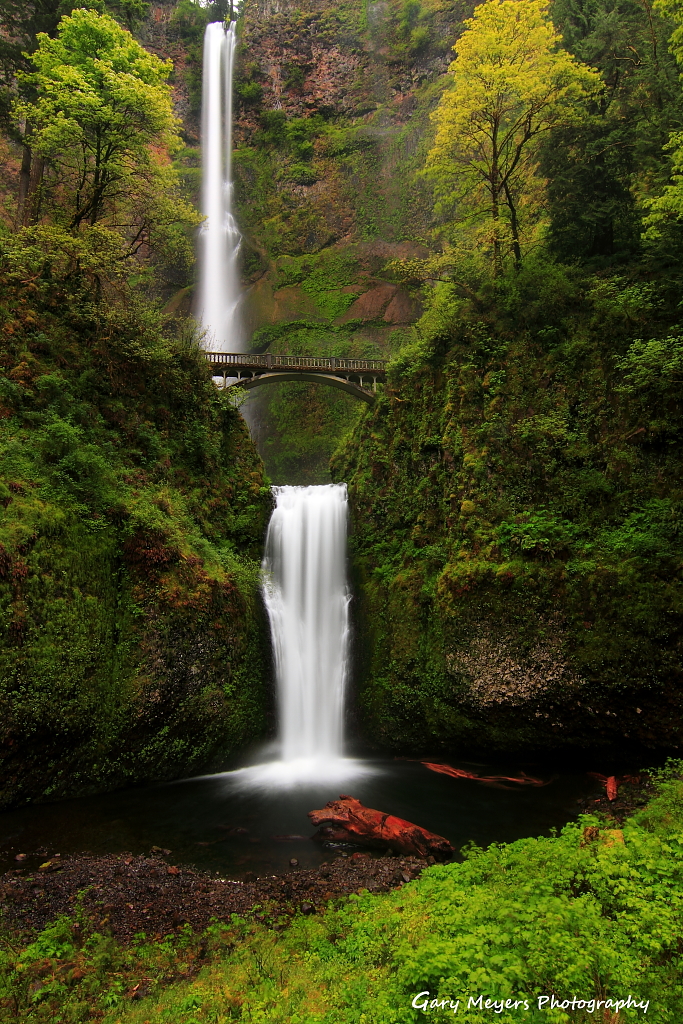 Multnomah Falls all to myself!