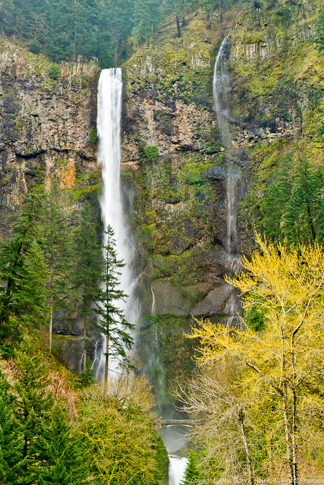 Multnomah Falls & Fast Spring Waters