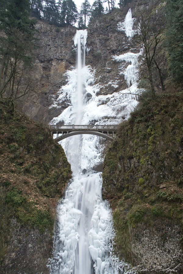 Multnomah Falls On Ice