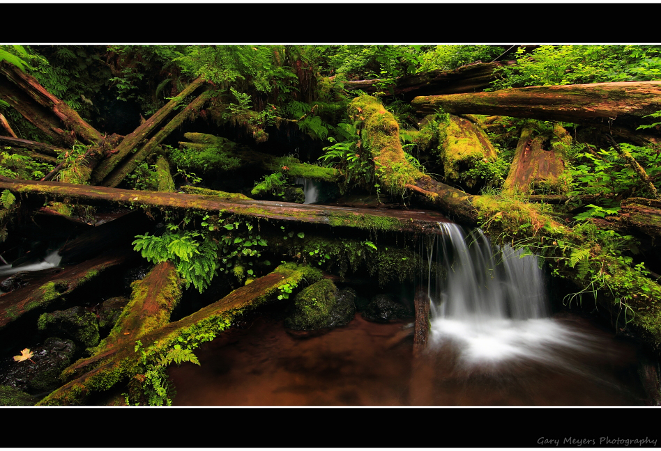 MUNSON CREEK