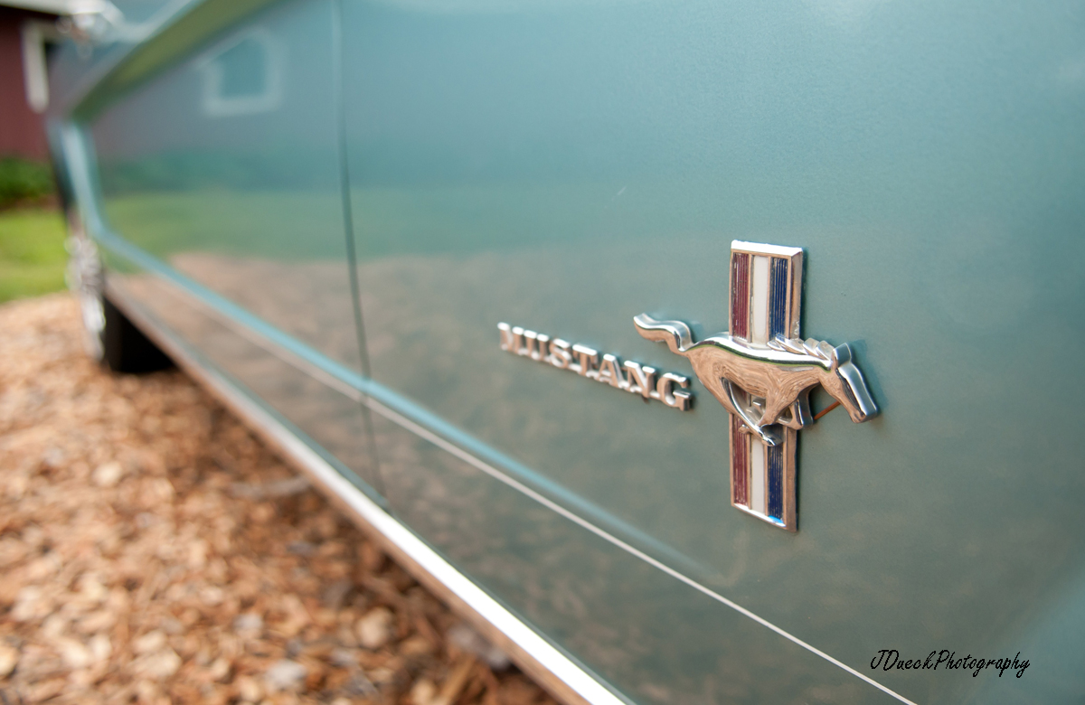 Mustang