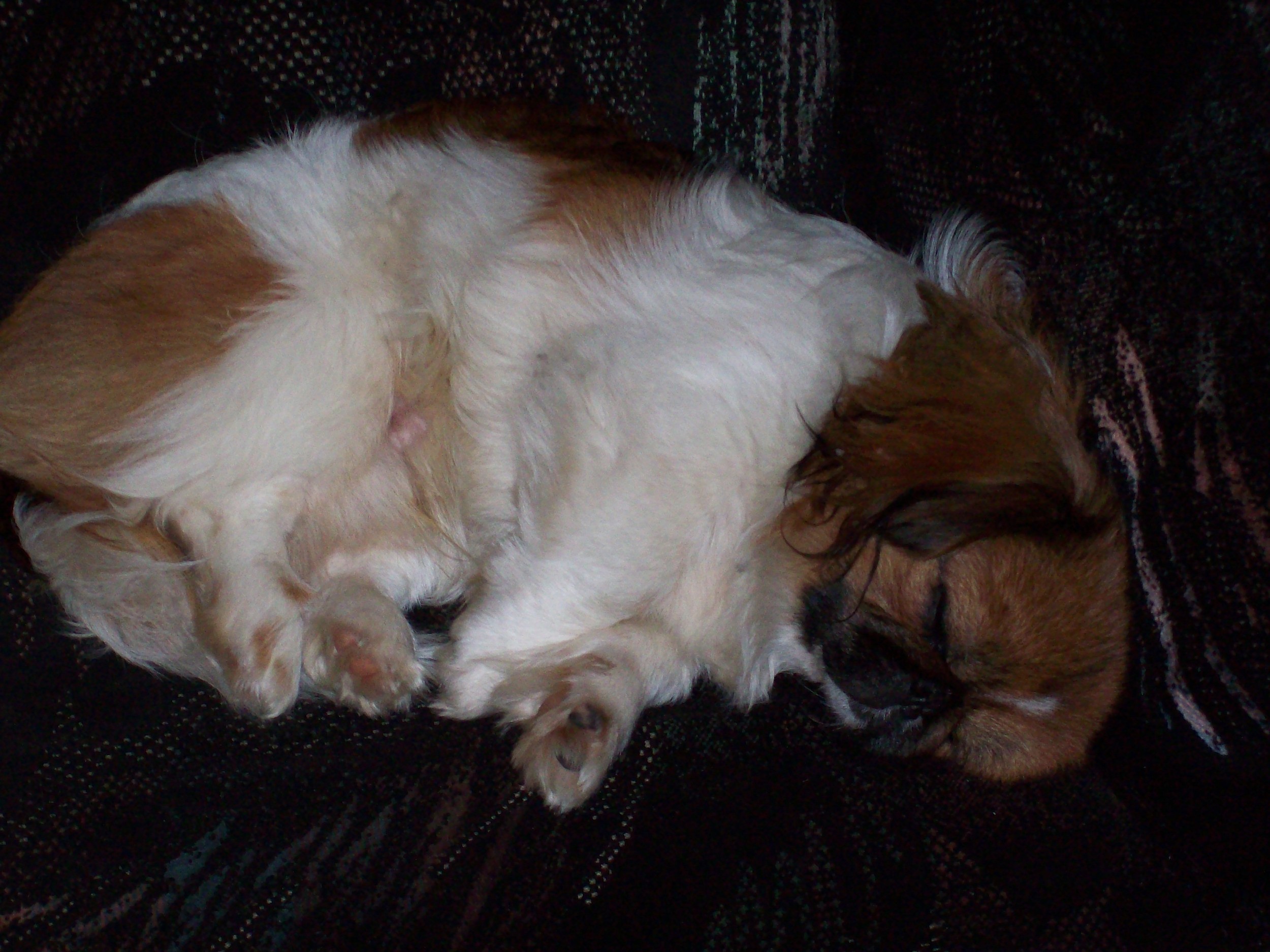 Nap time