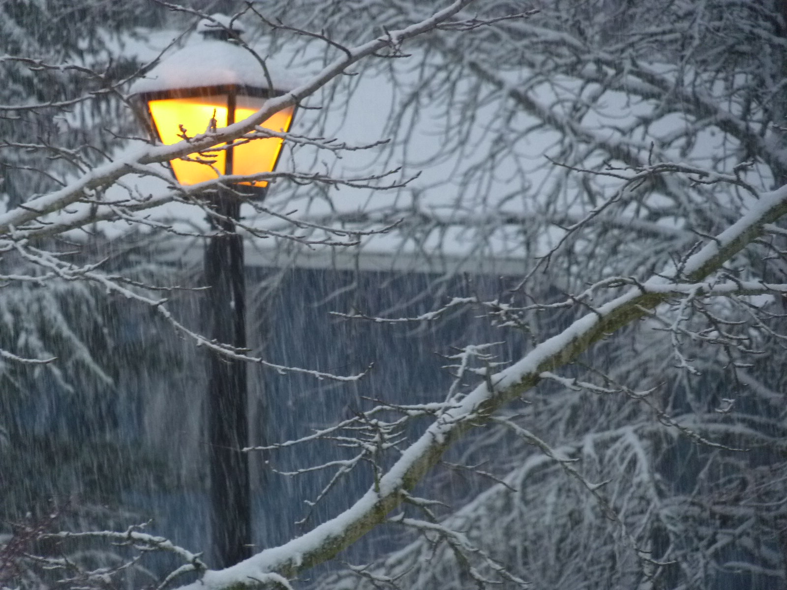 Narnia