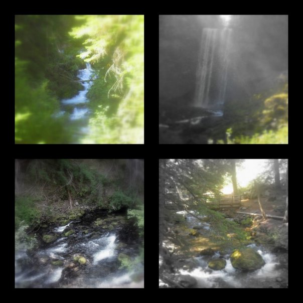 Nature's Beauty