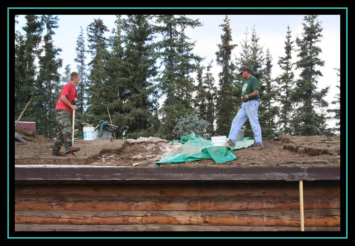 New Roof for the Cabin
