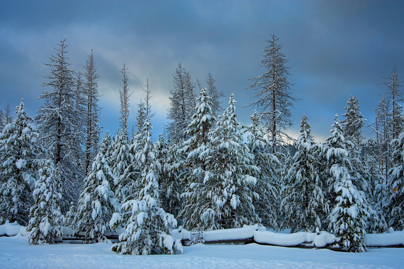 New Snow