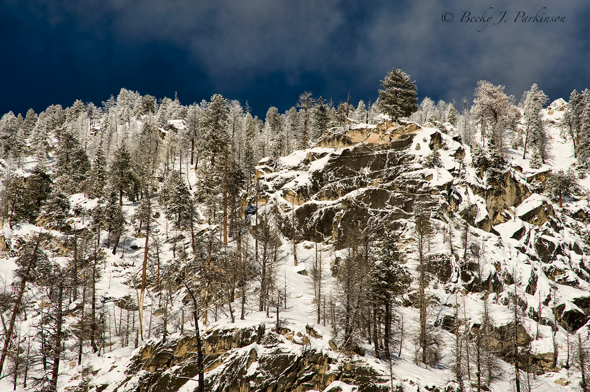 New Snow