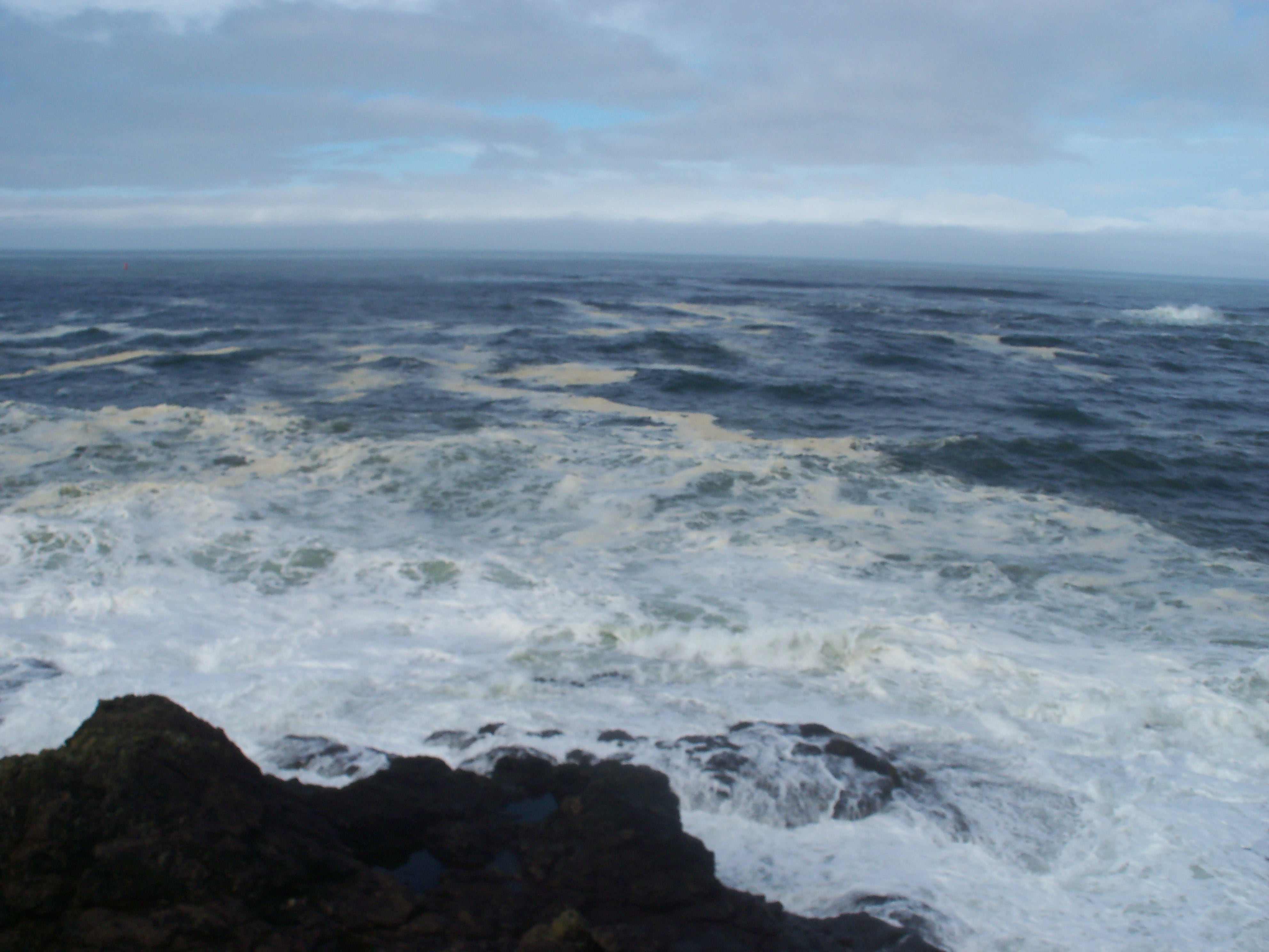 newport oregon coast