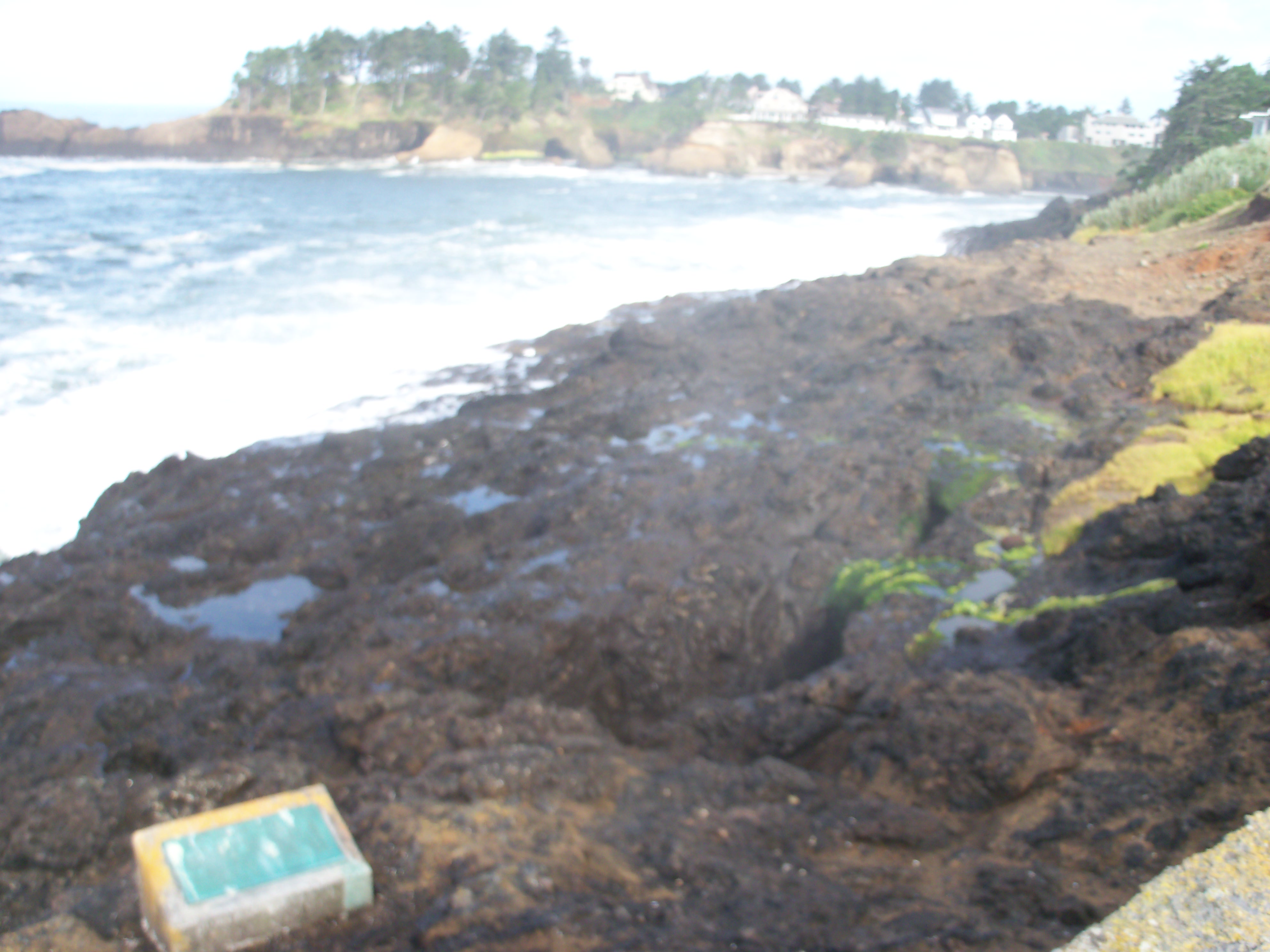 newport oregon coast
