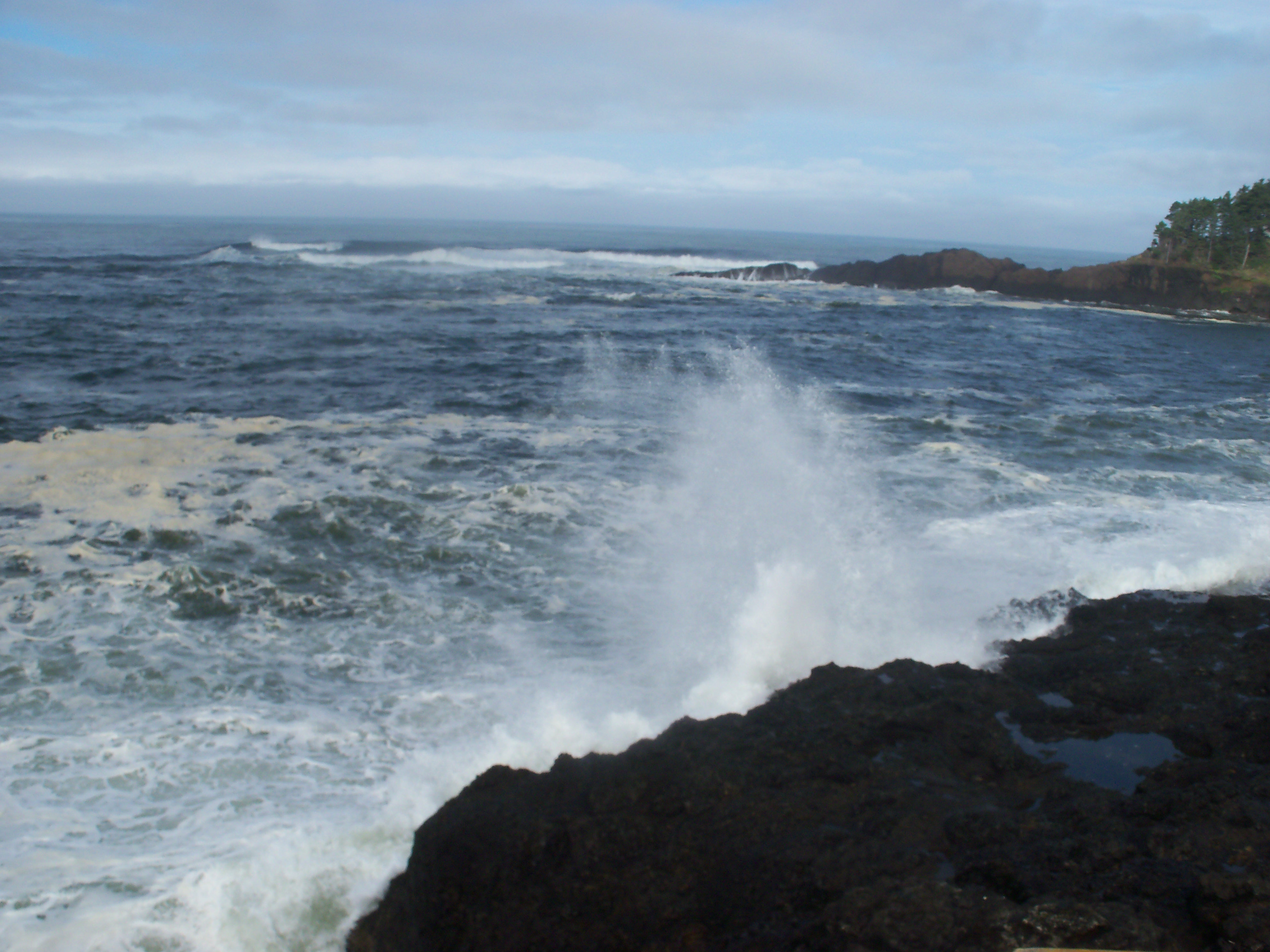 newport oregon coast