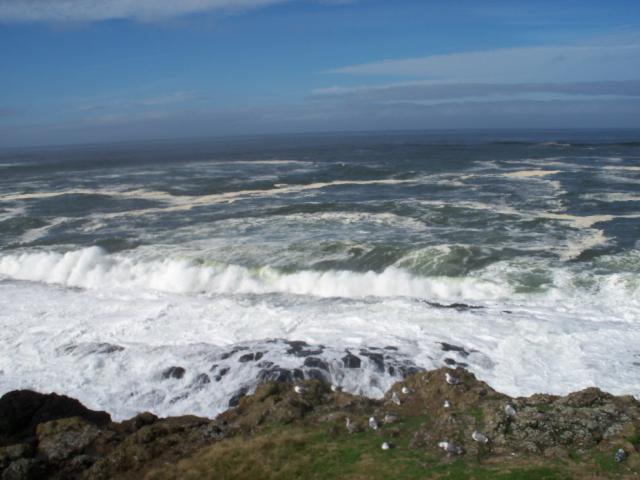 newport oregon
