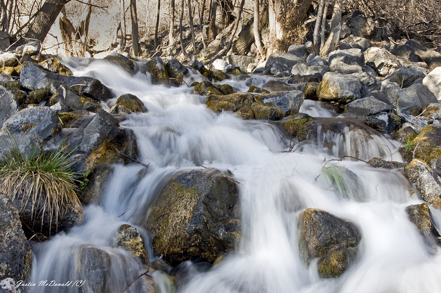 Niagara Springs