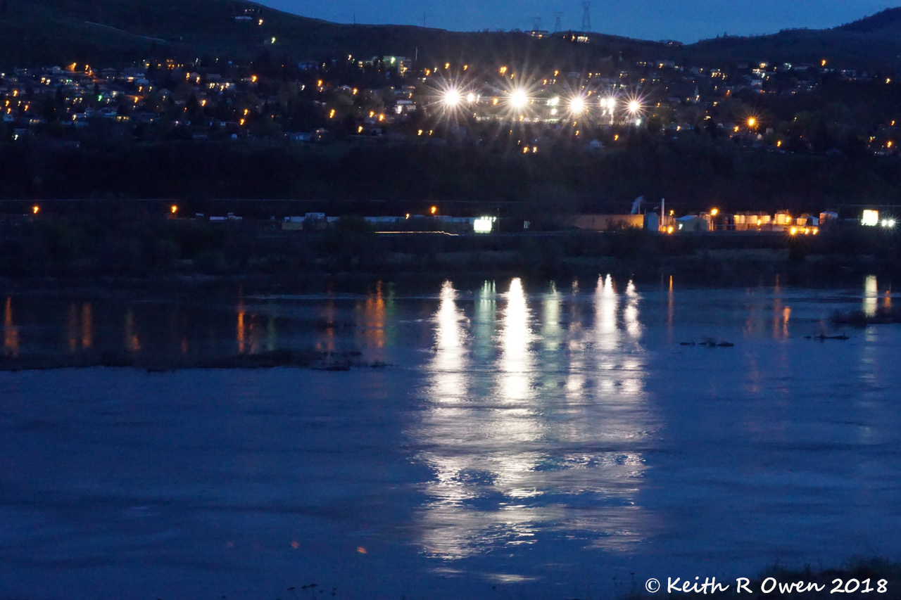 Night Reflections