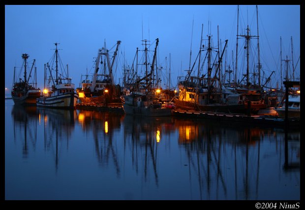 Nightime Marina