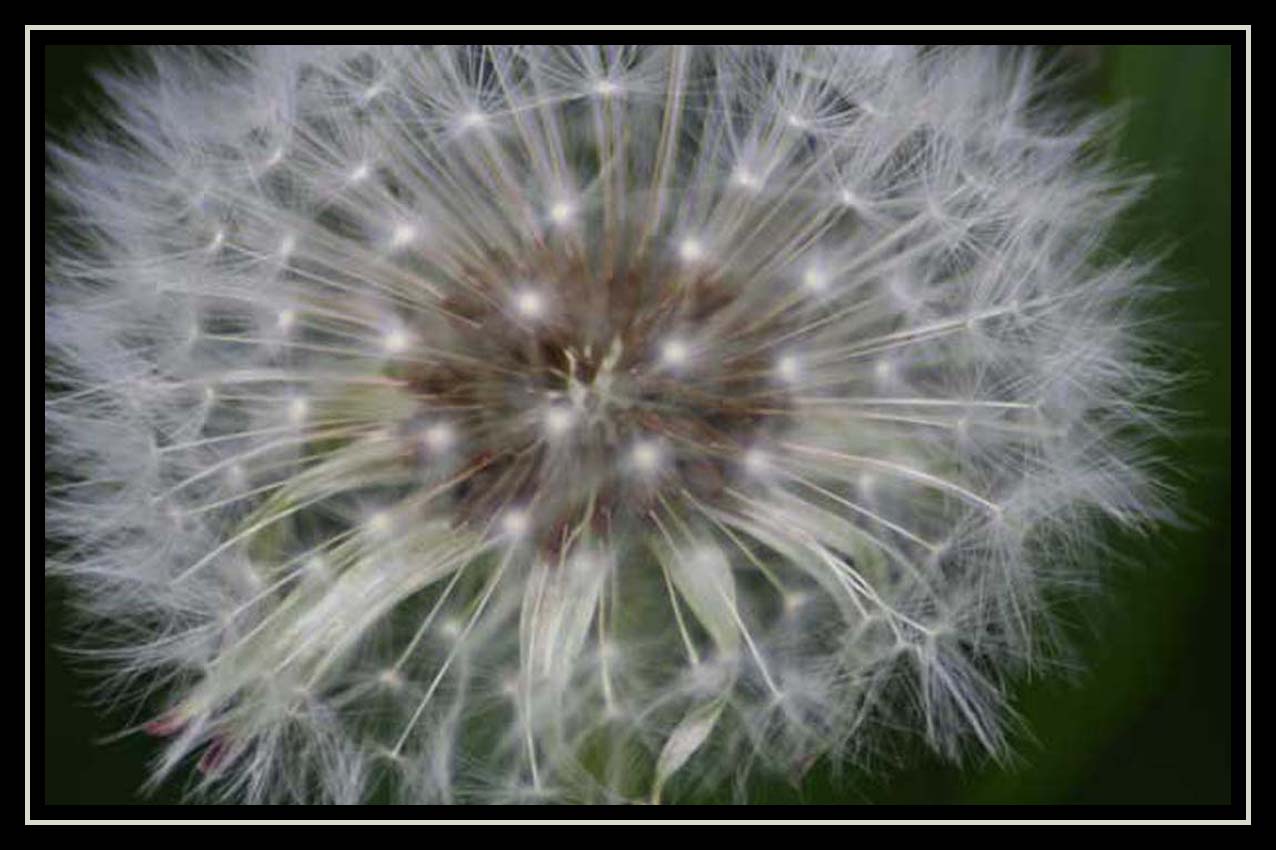 No Wind