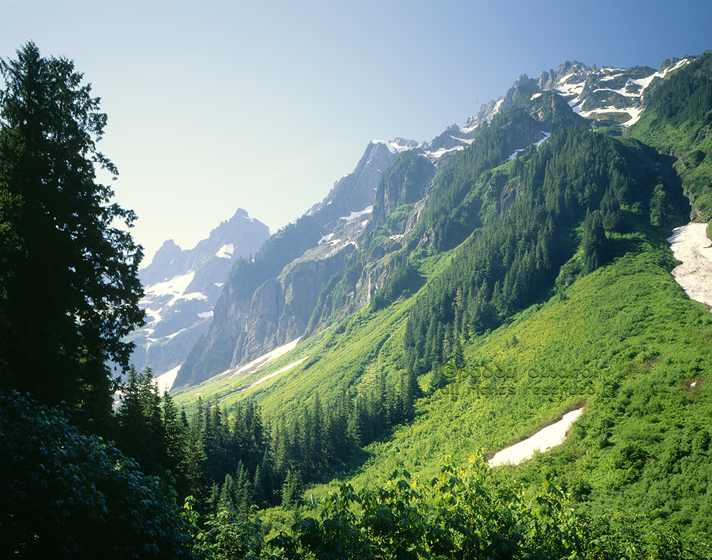 North Cascades NP #1 (from 4x5)