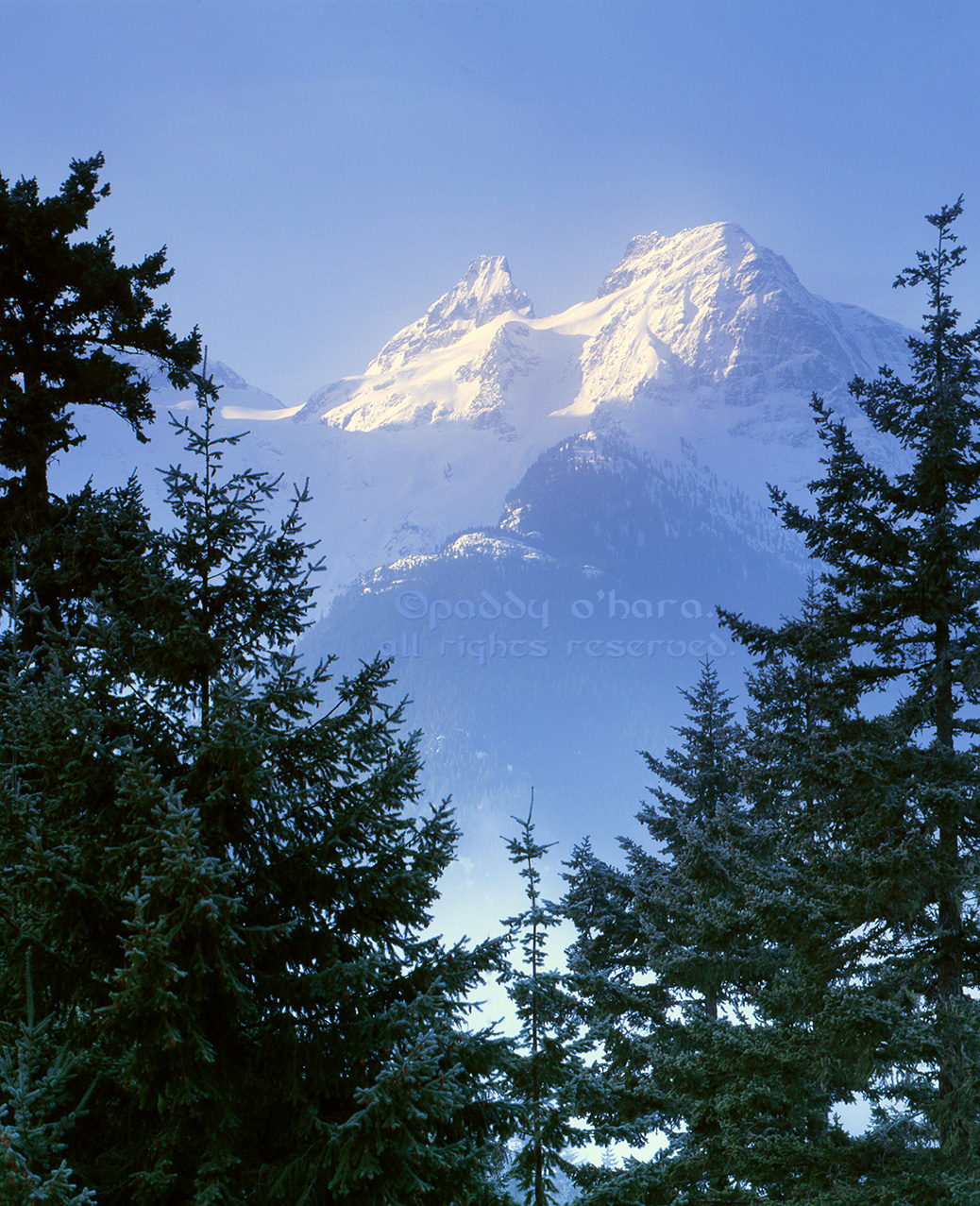 North Cascades NP #2 (from 4x5)