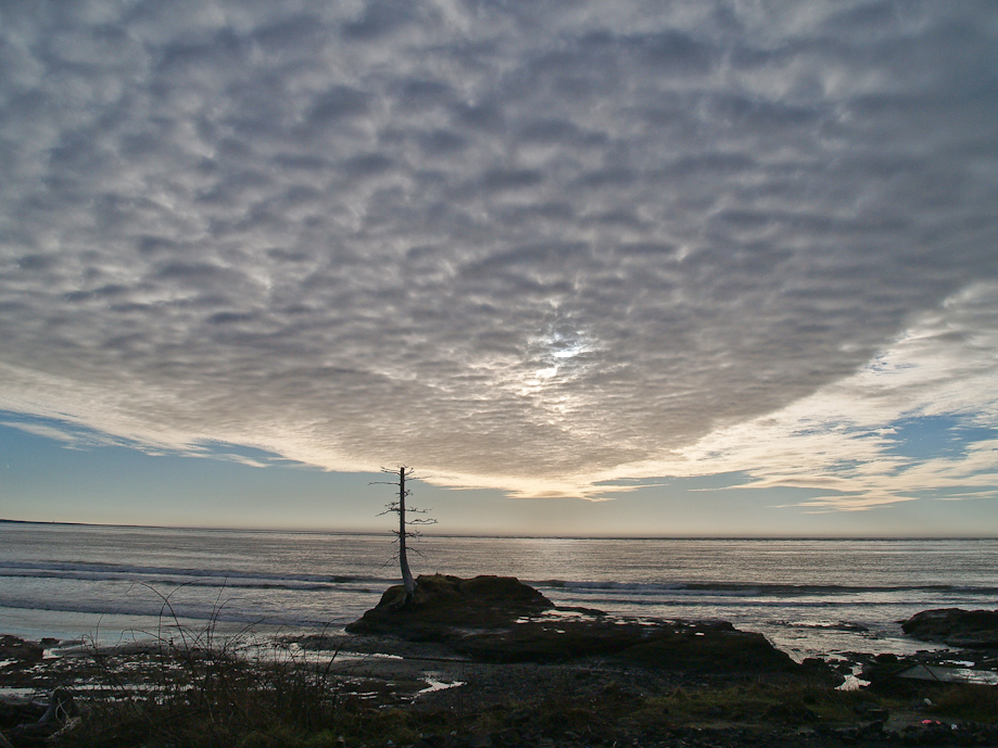 North Cove