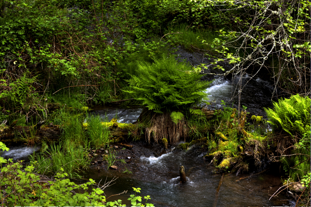 North Fork Little Butte Creek