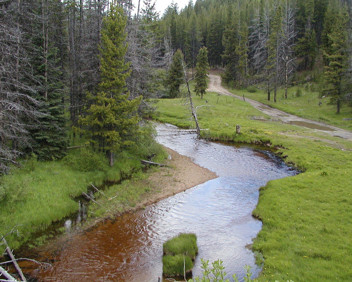 North Fork of Toats Coulee