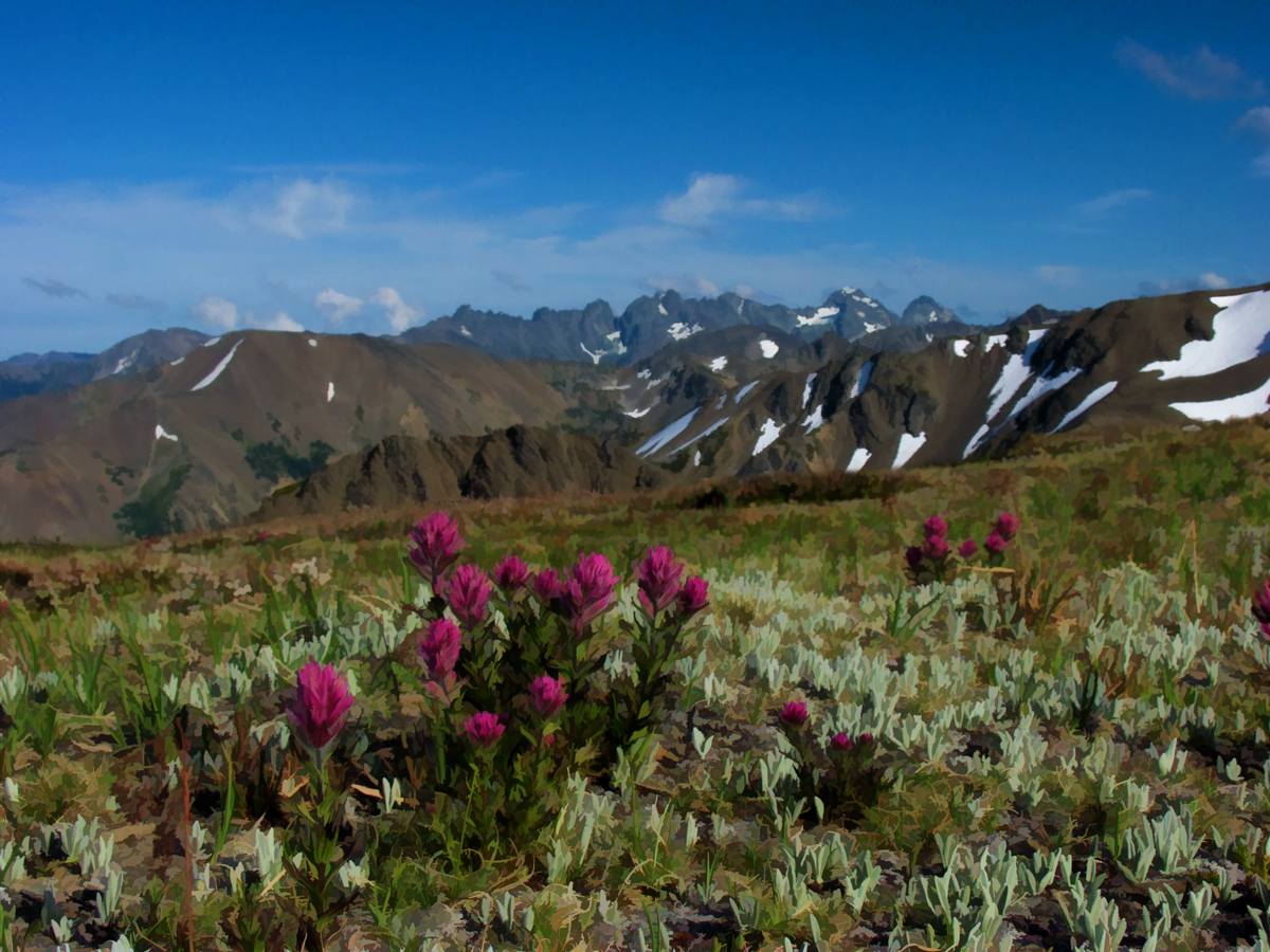 Obstruction Point Paintbrush