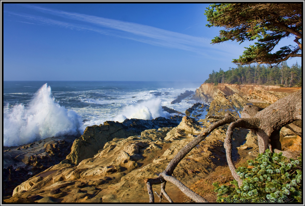 Ocean Spray
