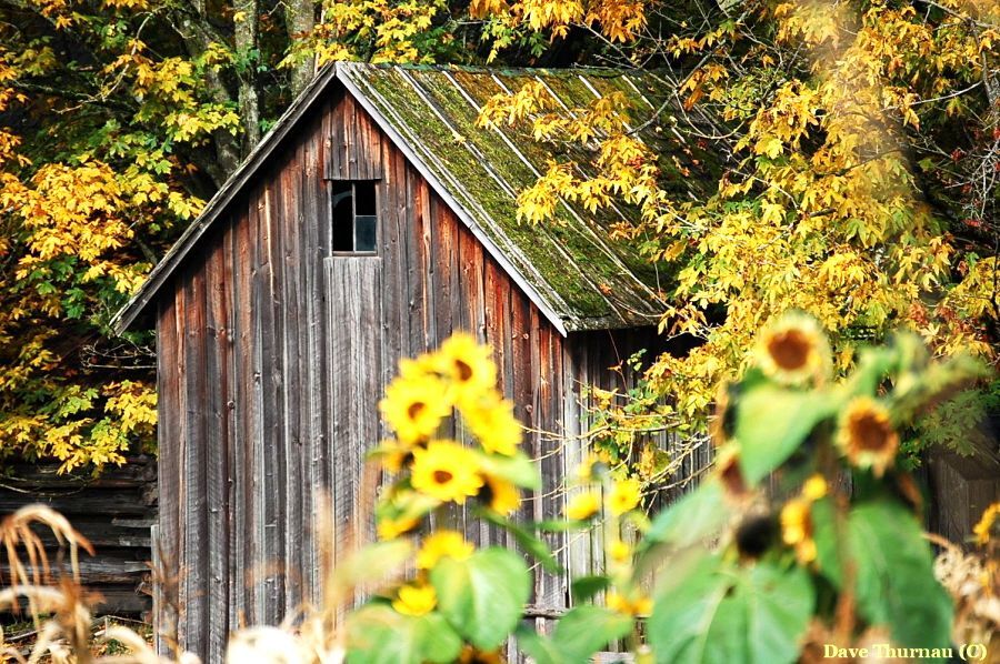 Old Barn