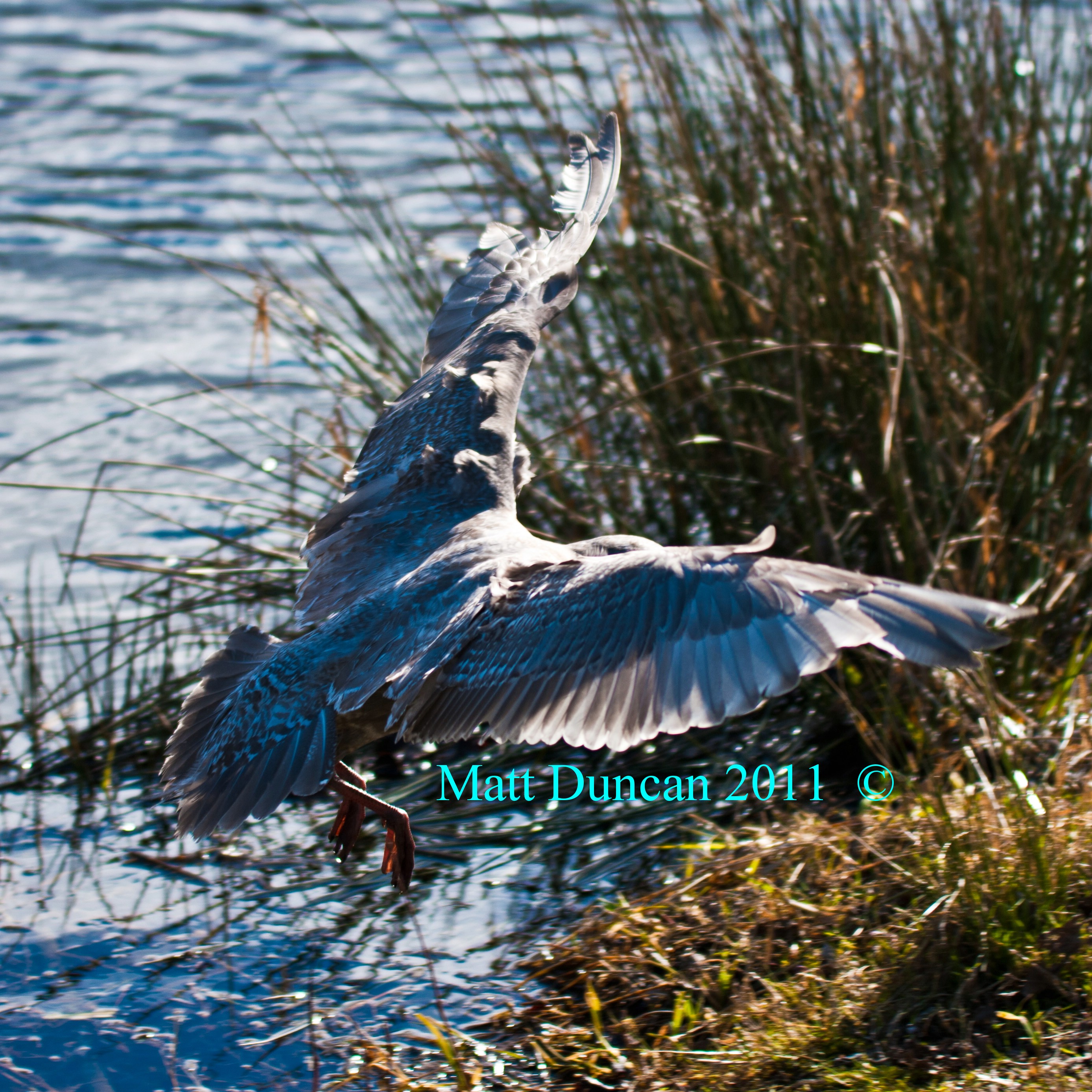 Old Fishing Hole 2