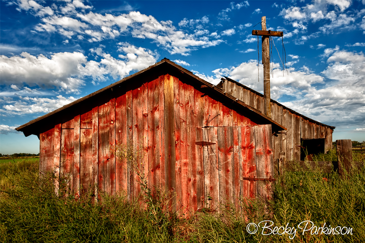 Old Homestead