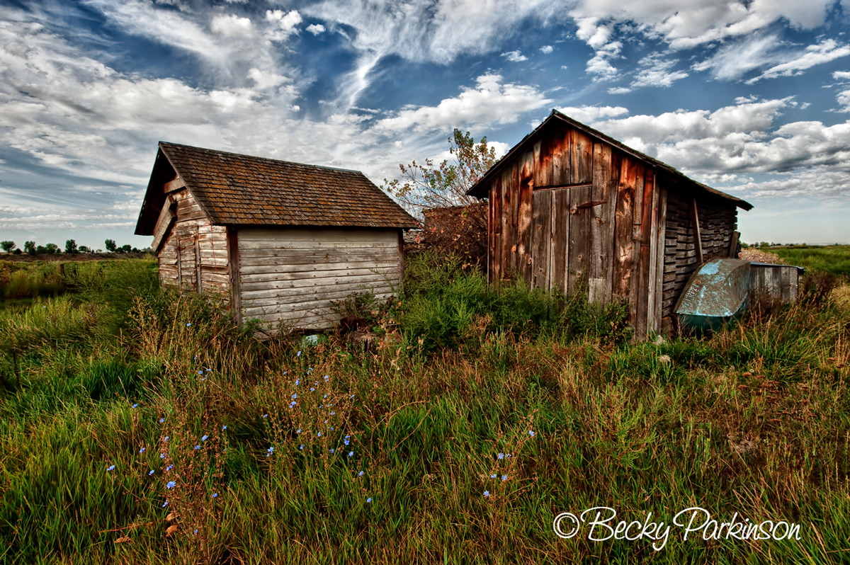 Old Homestead
